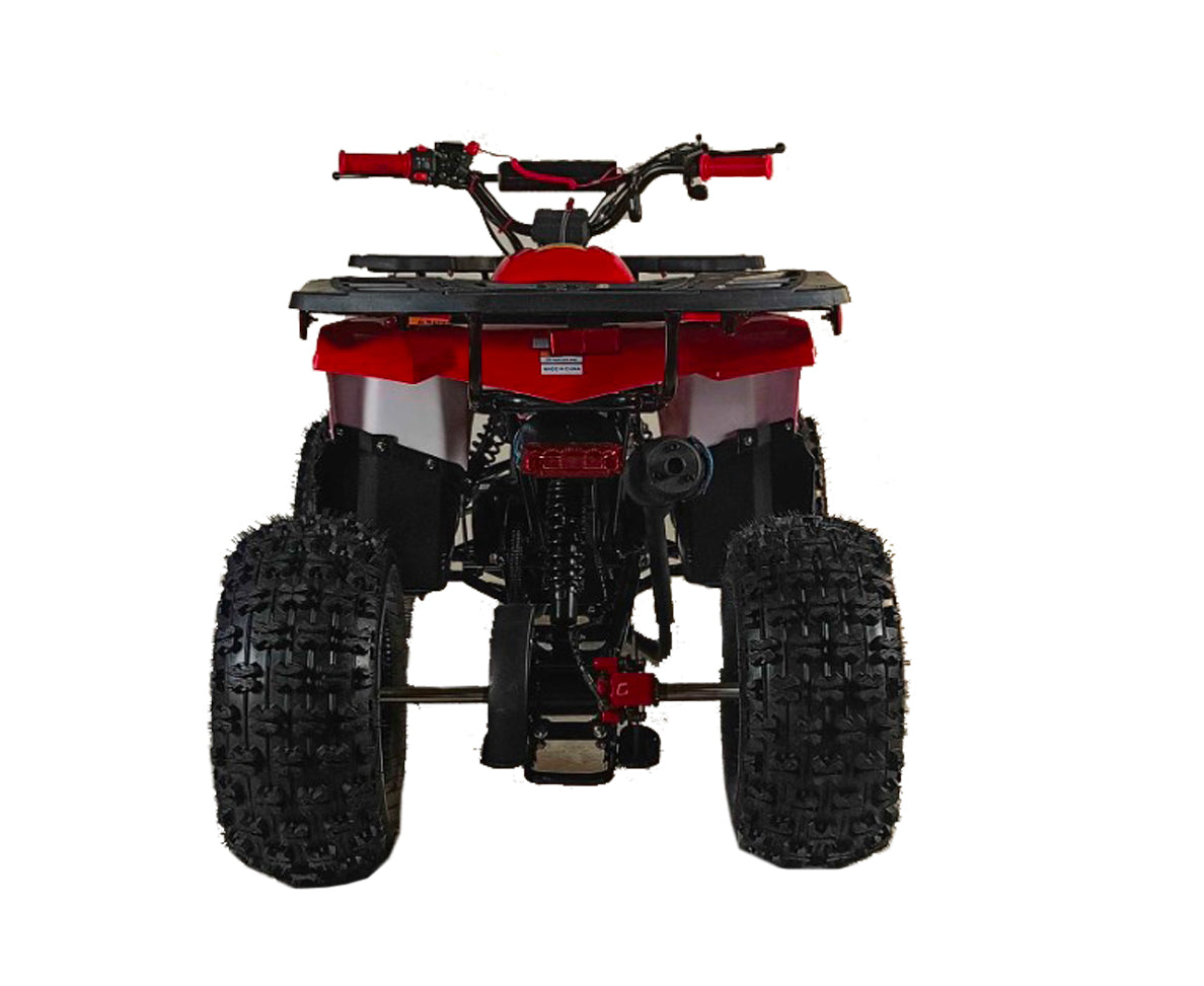 125cc Youth ATV 4-stroke 1-cylinder NEW ARRIVED 2025