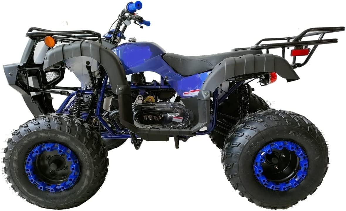 HHH 200cc ATV Adult Big Utility ATV with Automatic Transmission with Reverse Big 23"/22" tires CT-200-1