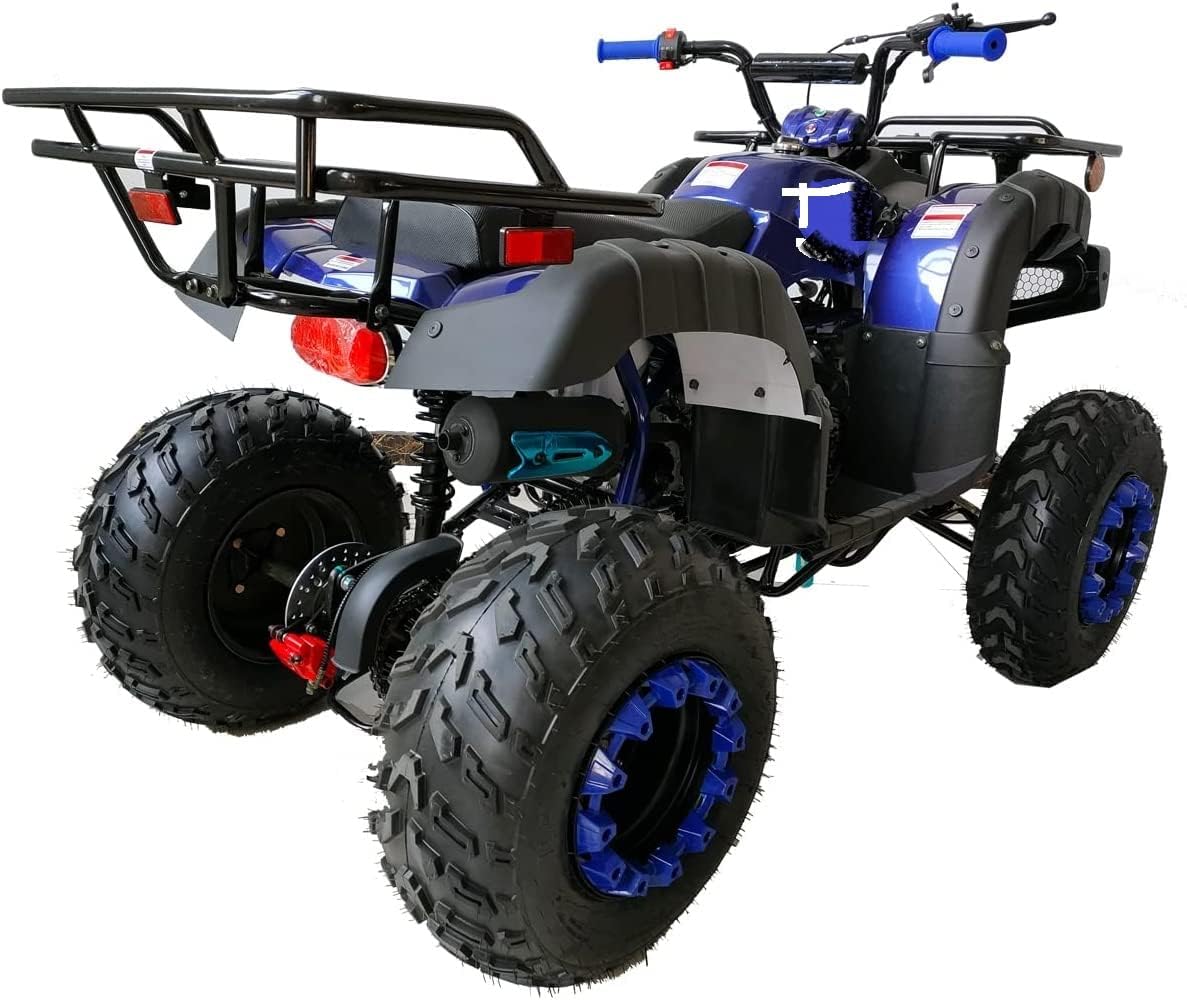 HHH 200cc ATV Adult Big Utility ATV with Automatic Transmission with Reverse Big 23"/22" tires CT-200-1