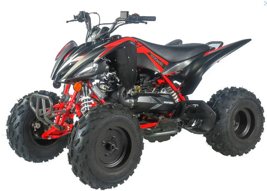 HHH PENTORA 200cc EFI VITACCI FULL SIZE ATV FULLY AUTOMATIC 200CC ATV FOR ADULT AND YOUTH
